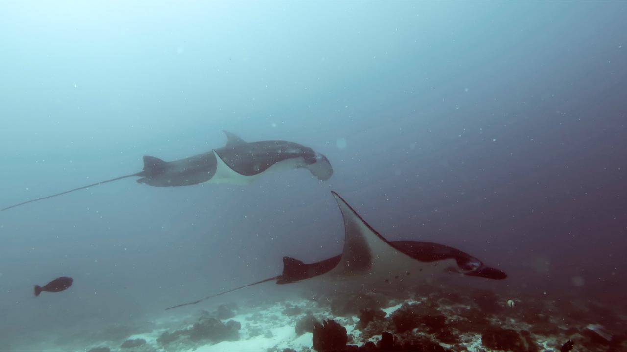 Absolute Scuba Bali Dive Resort Padang Bai Exterior foto